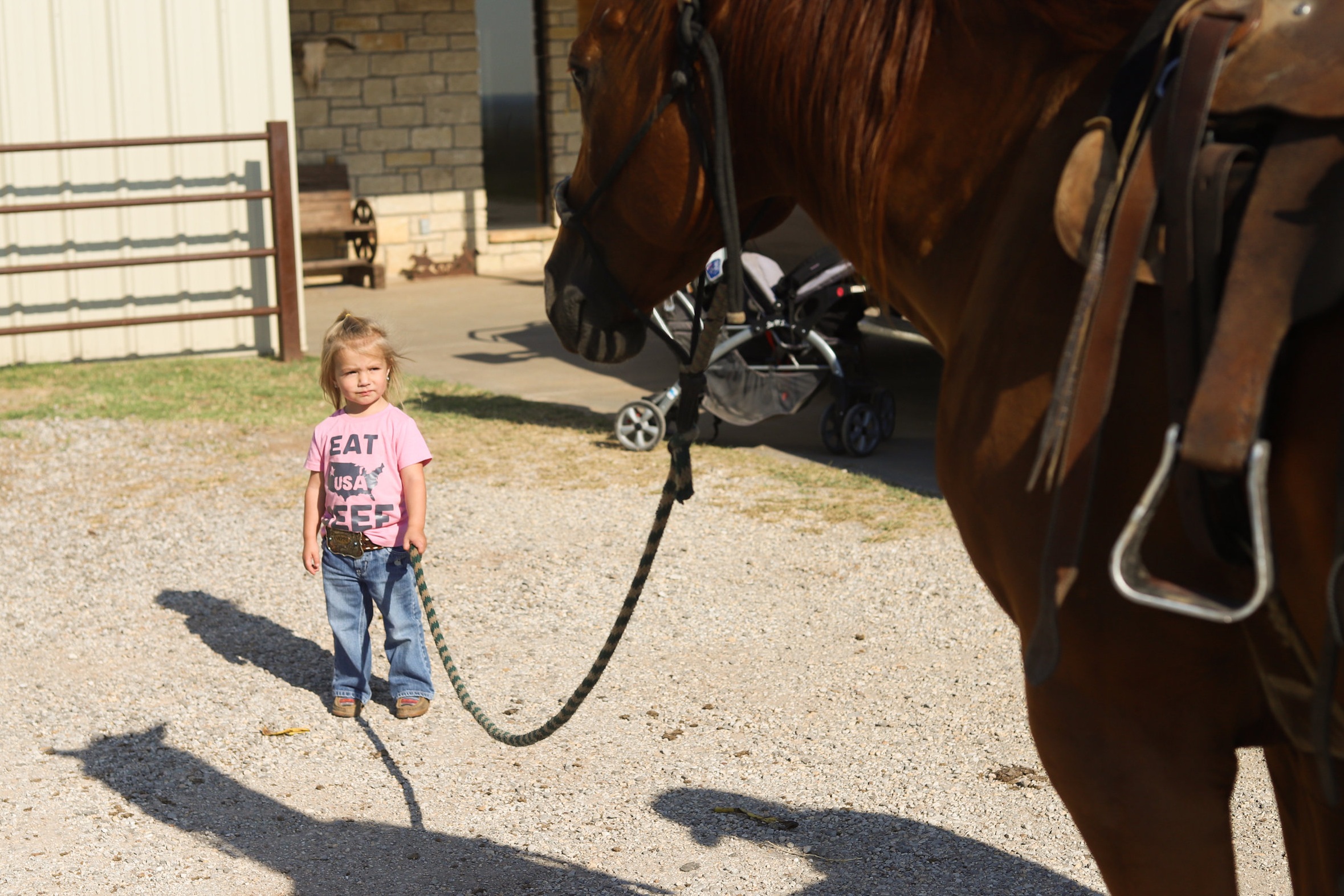 2-year-old Sonora Stierwalt holds the lead rope while her mother tacks a horse for rodeo at Stierwalt Ranch.