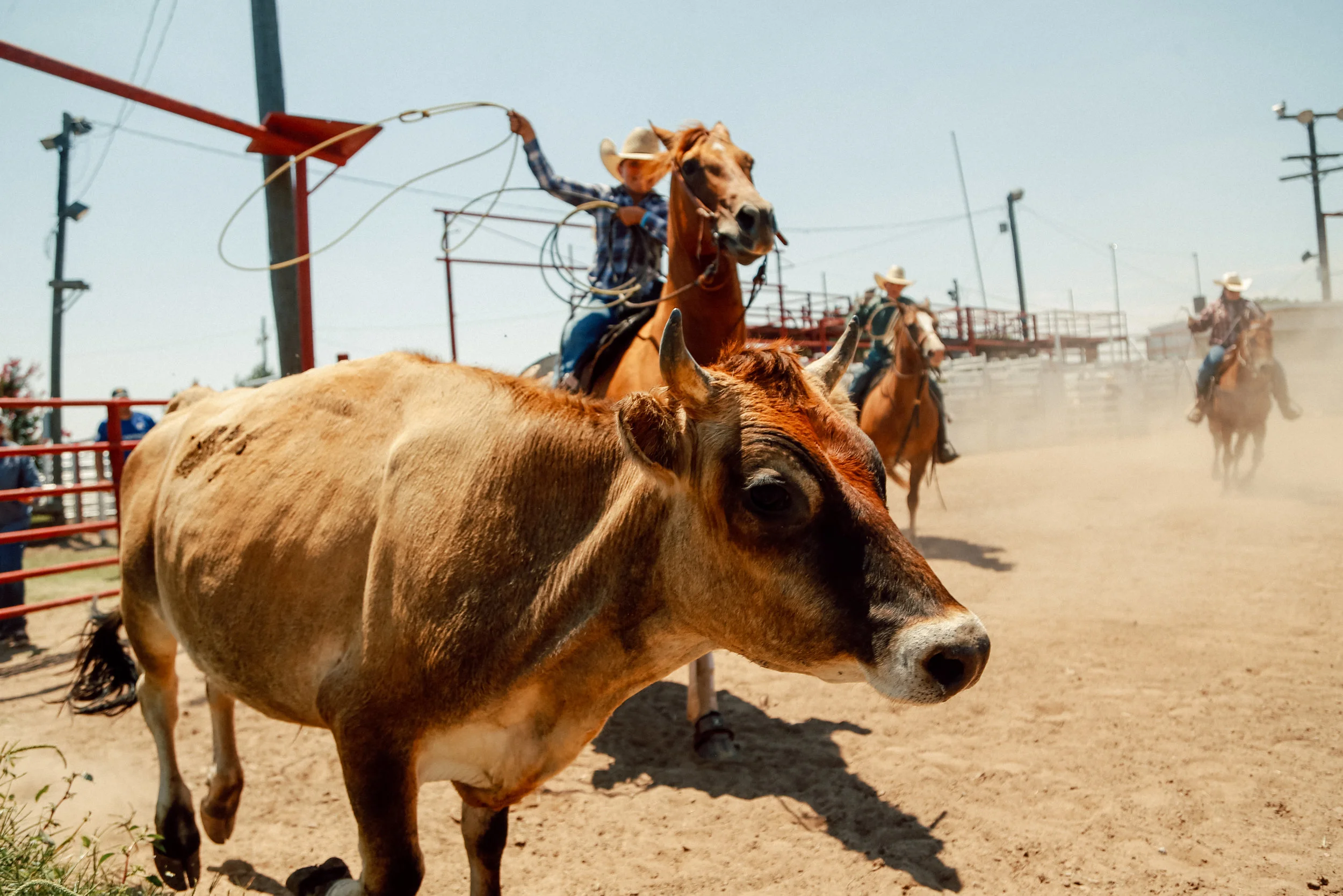 10-year-old Rowdy Stierwalt swings her lasso above her head while competing in a cattle roping event during the youth ranch rodeo at the 101 Arena in Ponca City on July 27, 2019.
