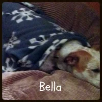 Bella-200x200.jpg