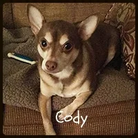 Cody_Thumb-200x200.jpg