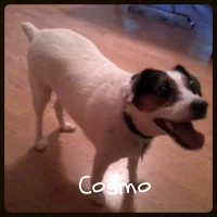 Cosmo-200x200.jpg