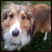 Heidi-200x200.jpg