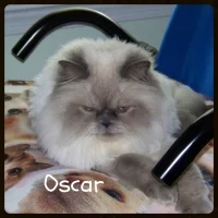 Oscar1-200x200.jpg
