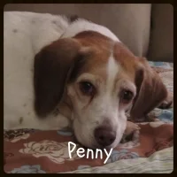 penny-200x200.jpg