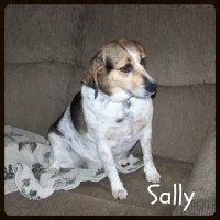 Sally2-200x200.jpg