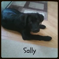 Sally-200x200.jpg