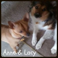 Anne Lacy fx.jpg