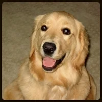  Our sweet Bella