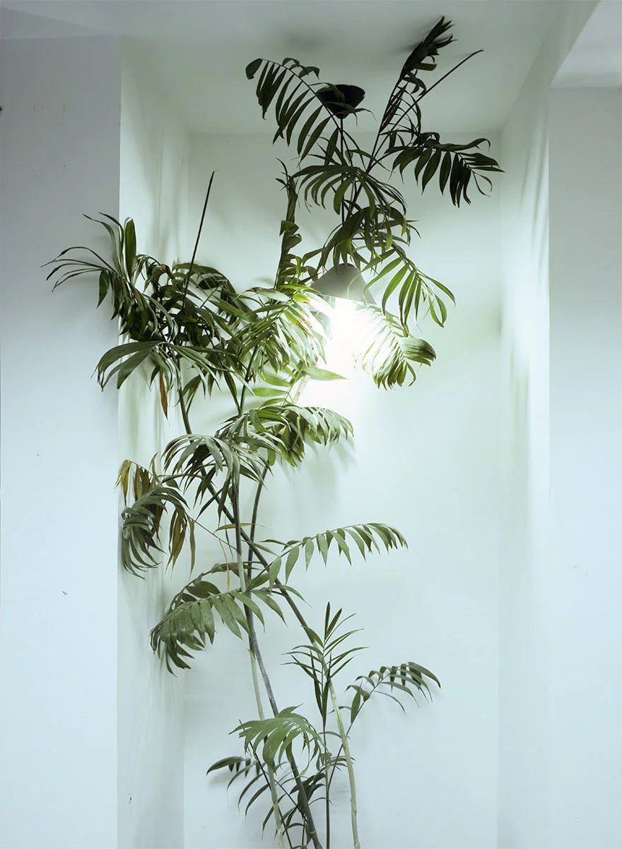 over protective light.jpg