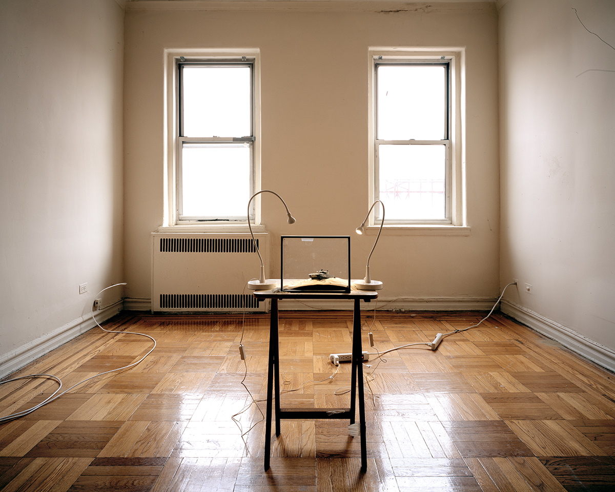 Merkava IV, Empty Living Room, Queens, New York, 2013