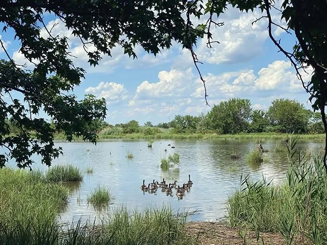 Jersey surprise behind a retail store parking lot