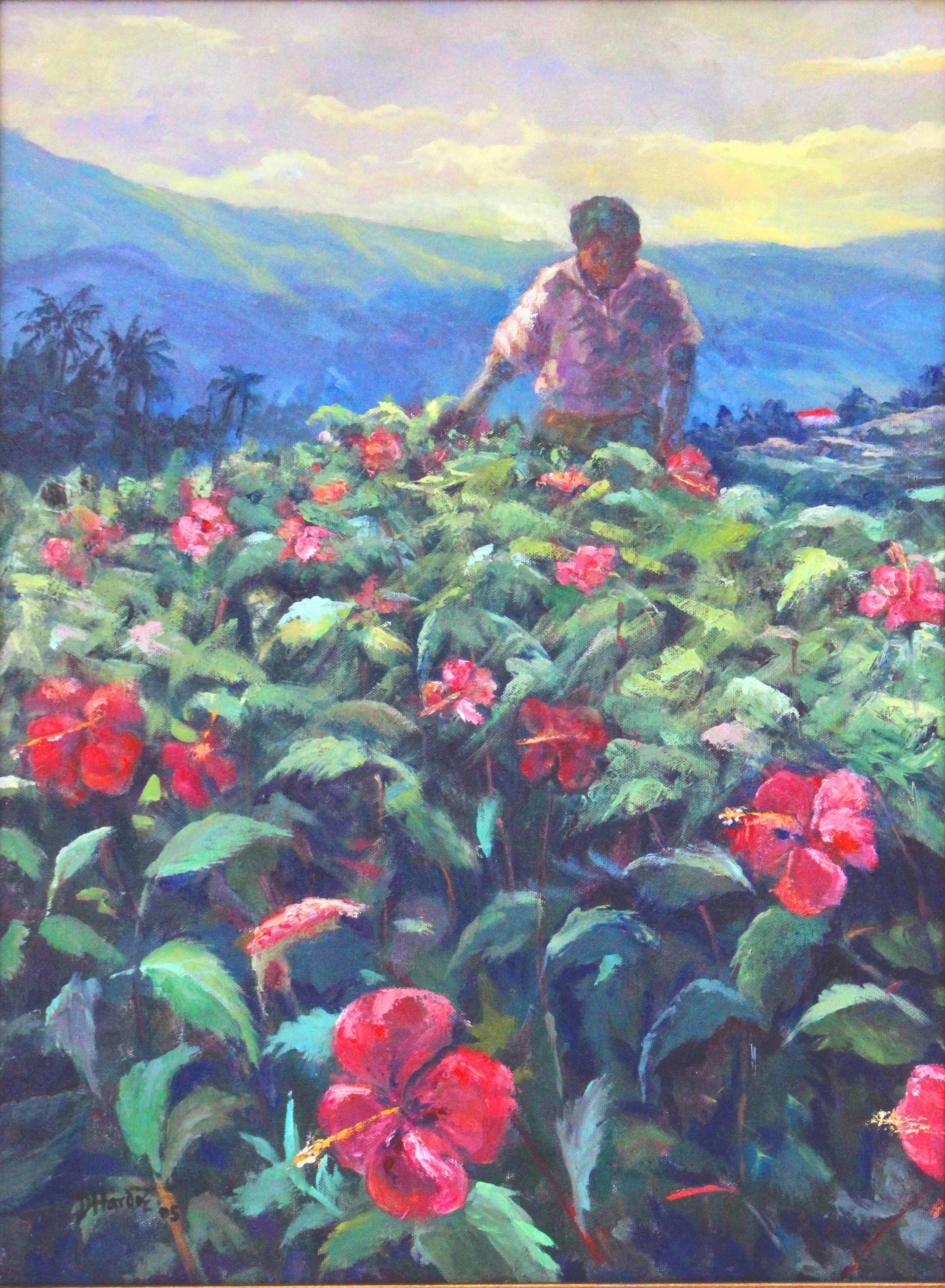 Hibiscus Field
