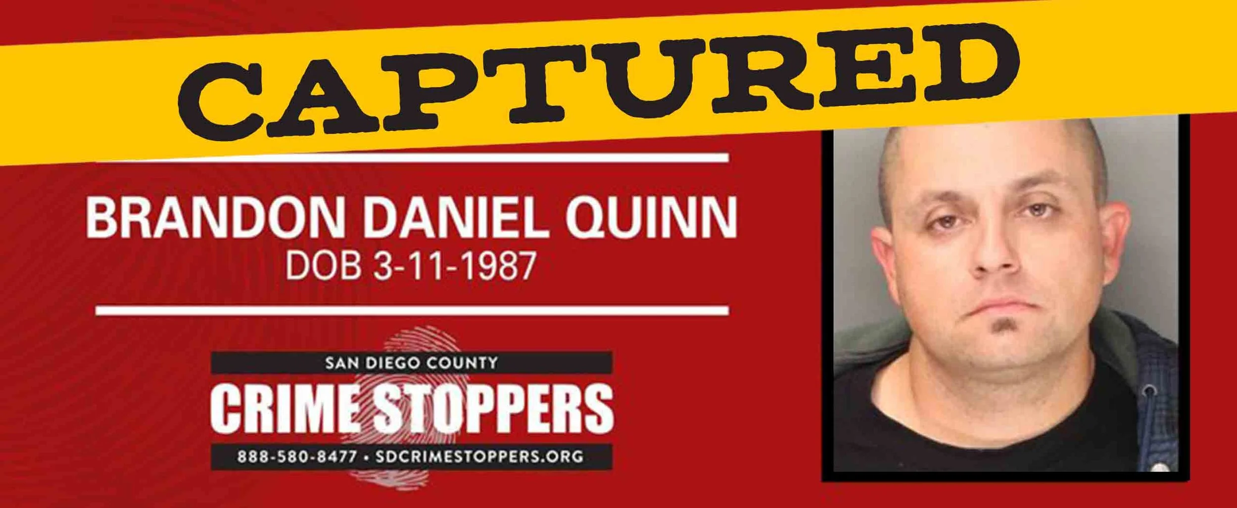 Brandon-Quinn-Banner.jpg