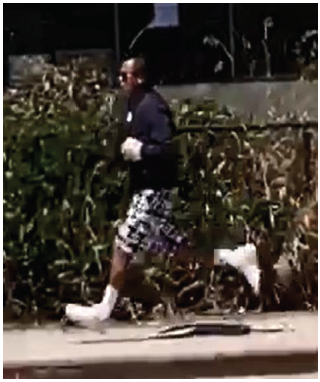 Screen Shot 2019-08-08 at 4.49.51 PM.png