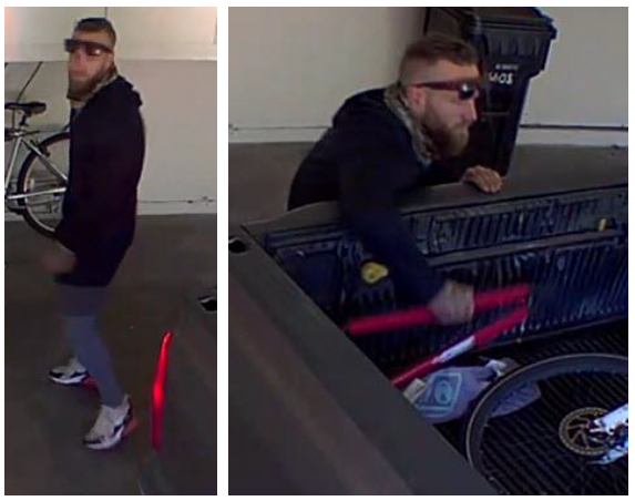 Suspect photo of recent Grand Theft