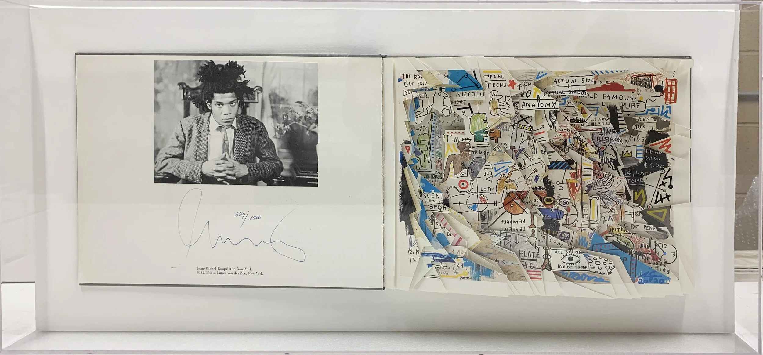 *Jean-Michel Basquiat Plexi Box Final.jpg