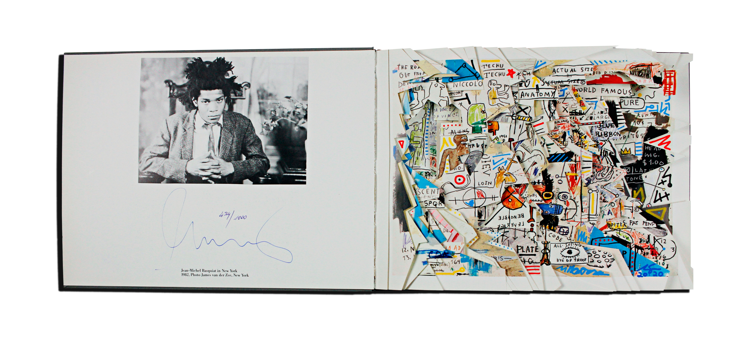 *Jean-Michel Basquiat Book Final.png