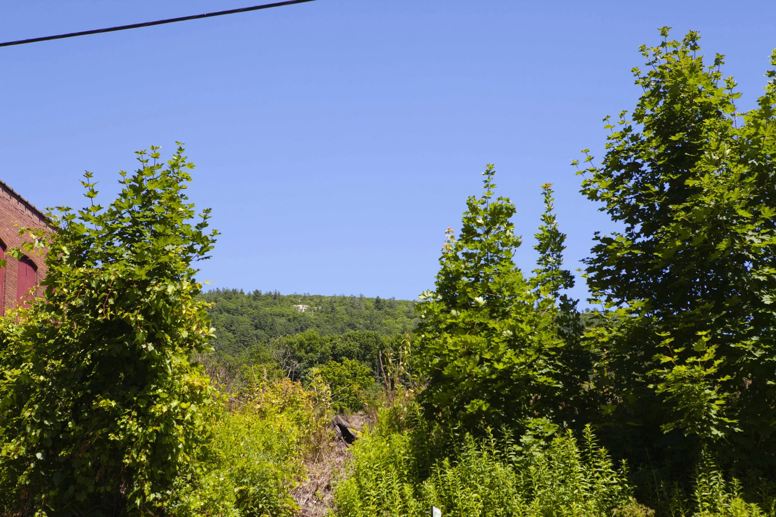 Looking up at Flag Rock from the House. 