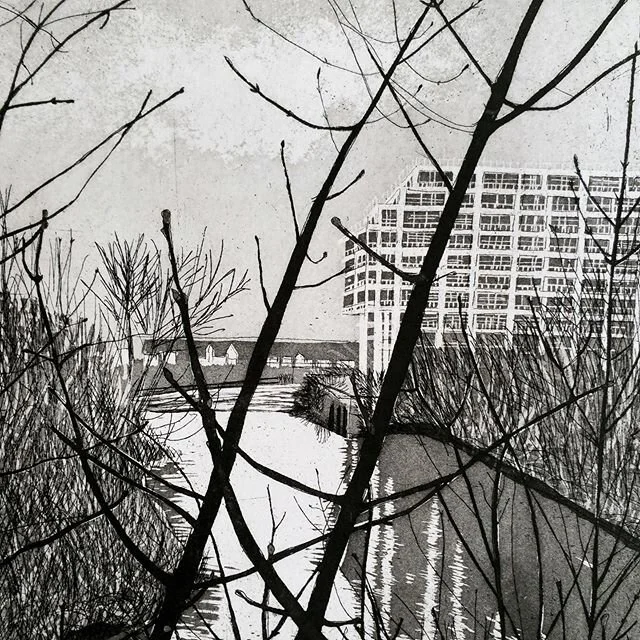 #day8 #9 #printmakers and this is @katejdownes from @hotbedpress #etching from #exhibition at #stockportartgallery #artinlockdown #contemporaryprintmaking