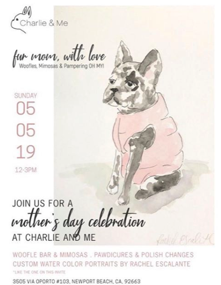 dogs_newport_charlieandme.png