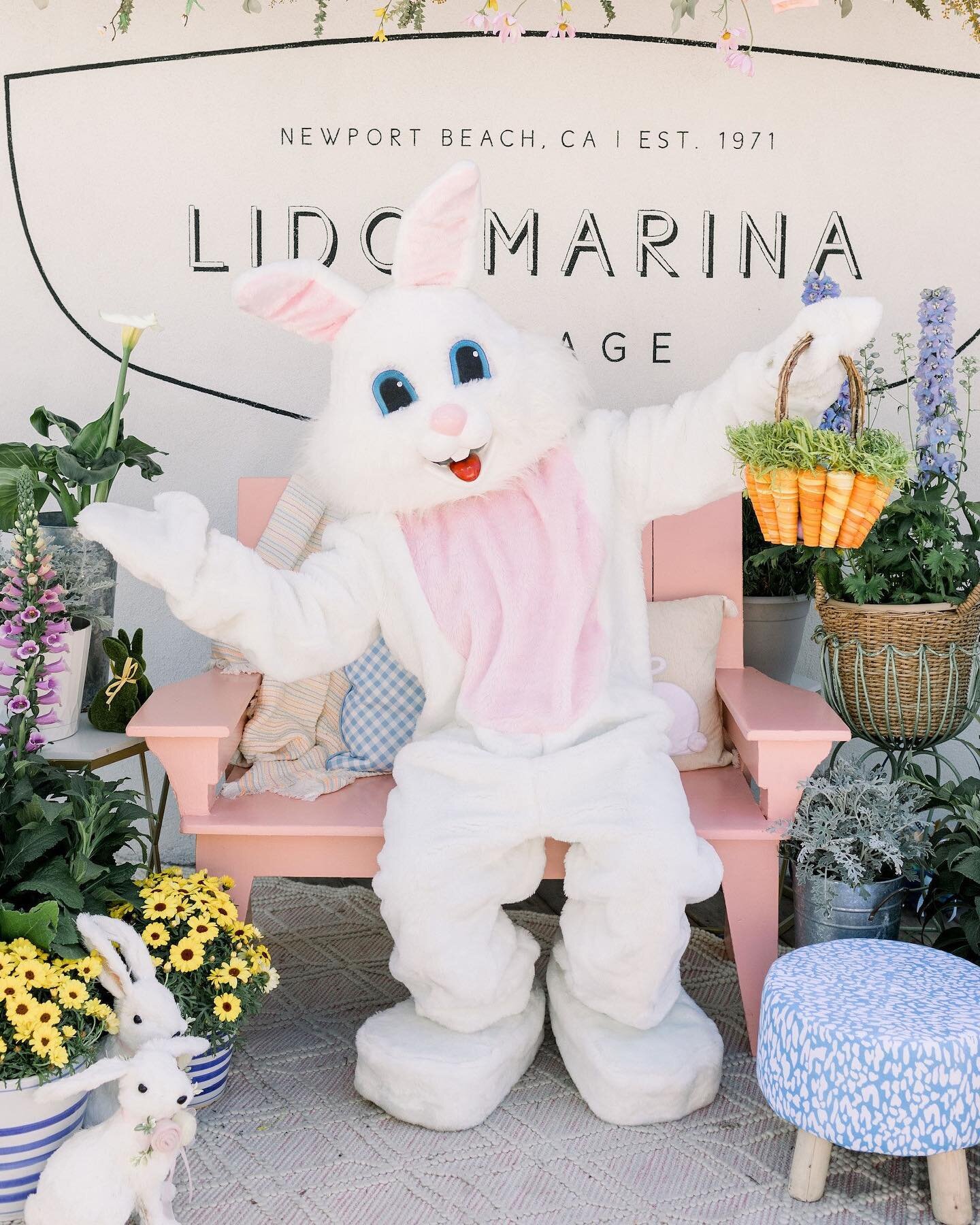 Hop on over to Lido this weekend for photos with the Easter Bunny, taken by the @stylemyholidays! 
We have two super cute setups for you to choose from:
🌸 10am - Noon: Discover the cutest photo-op on the Lido Deck, plus a fun craft for your littles!