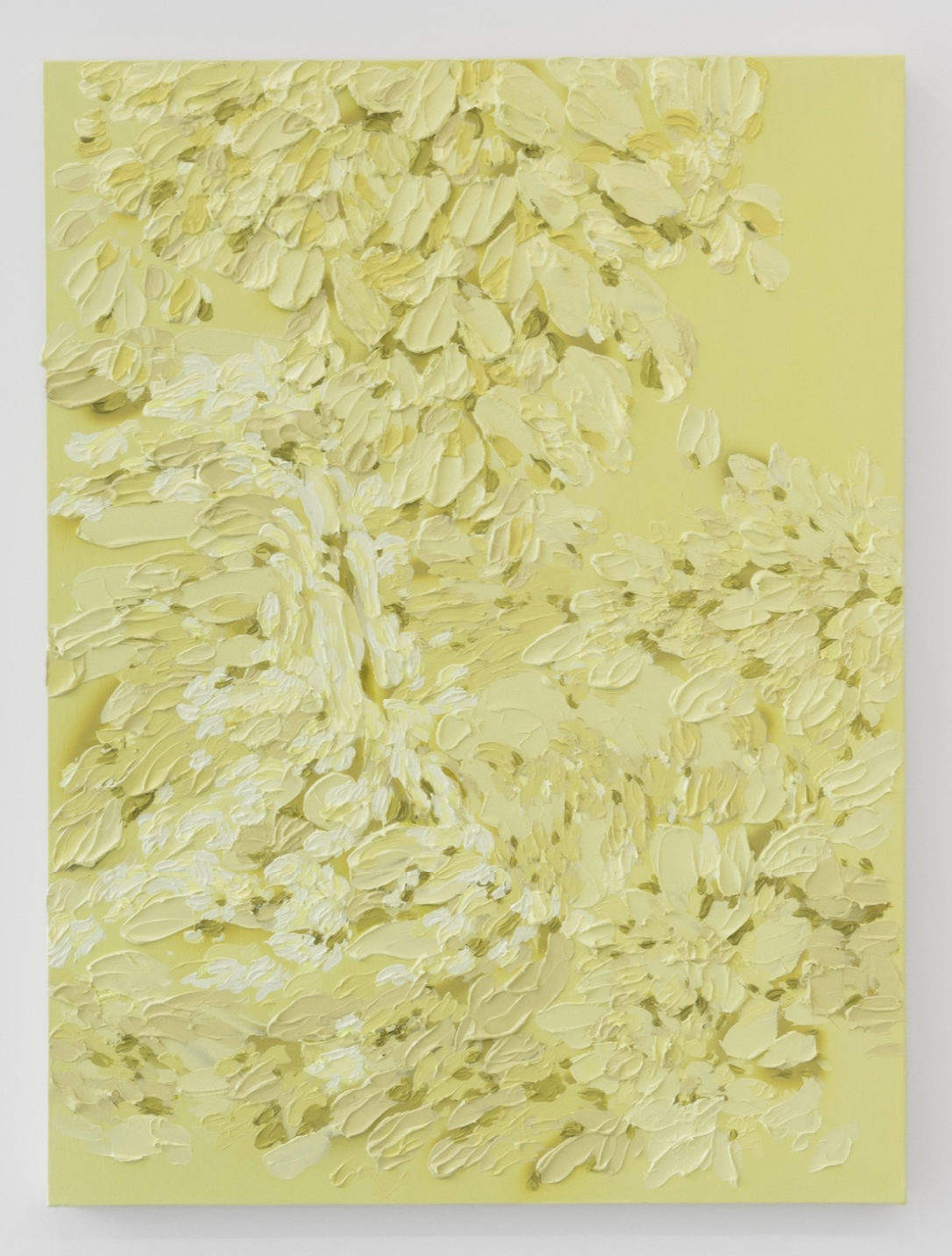 Screenshot 2025-12-29 at 1.34.53 PM.png