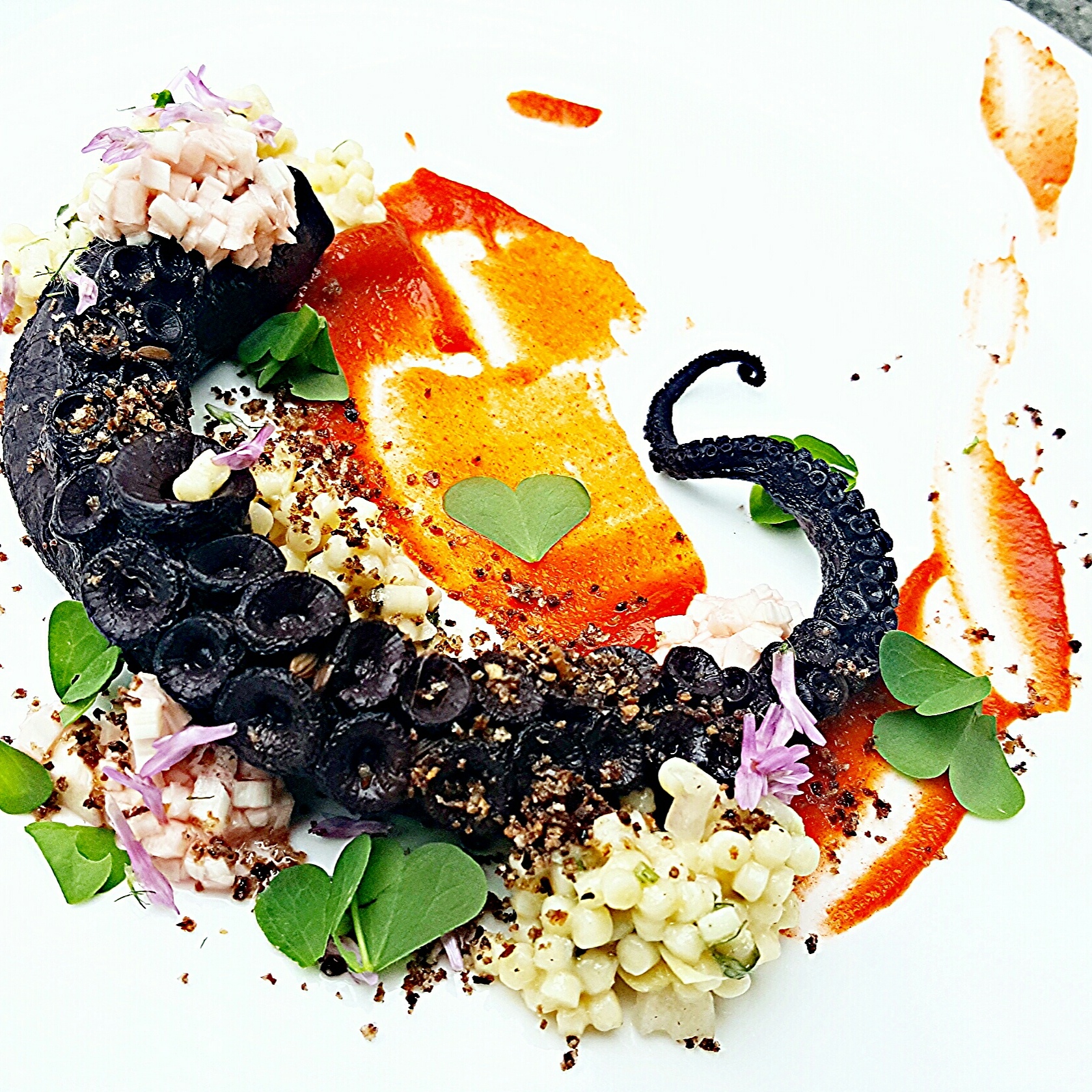 Michael Langdon/Glenmaura National Golf Club: Spanish Day Boat Octopus