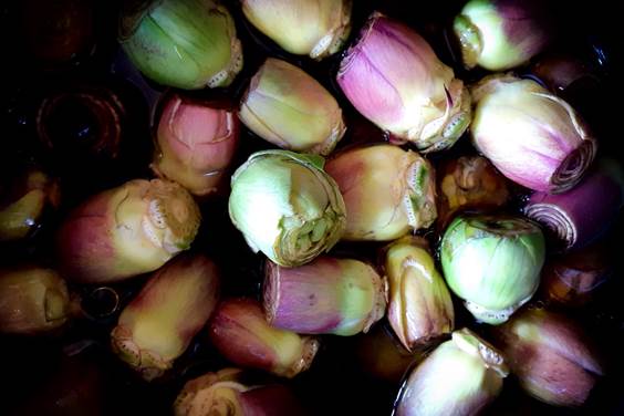 DeNoble Baby Artichokes