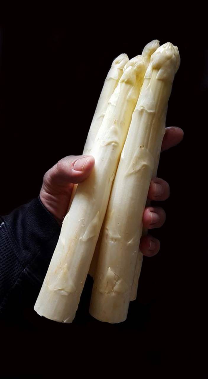 AAA White Asparagus