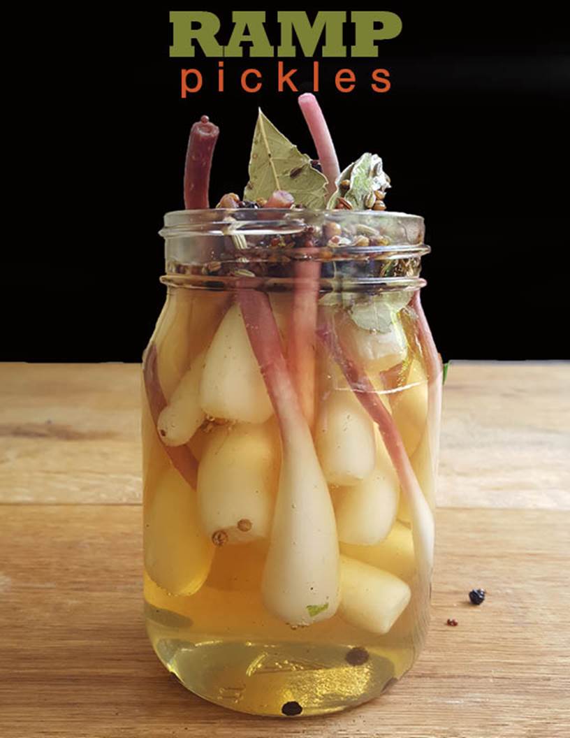 Francois de Melogue <br /> Ramp Pickles