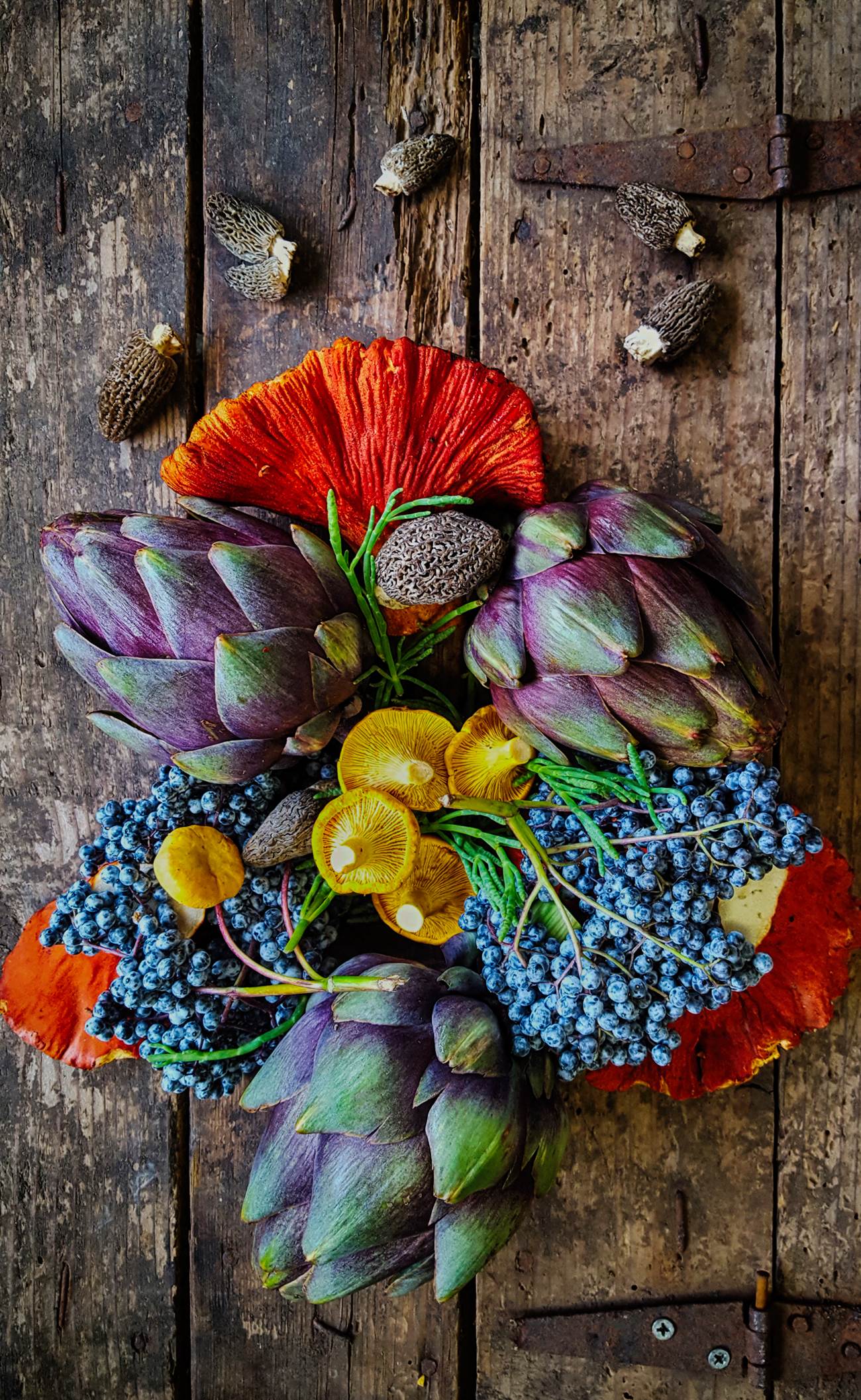 Foods in Season <br/> Artichokes, Morels, Saskatchewan Chanterelles and fresh Elderberries