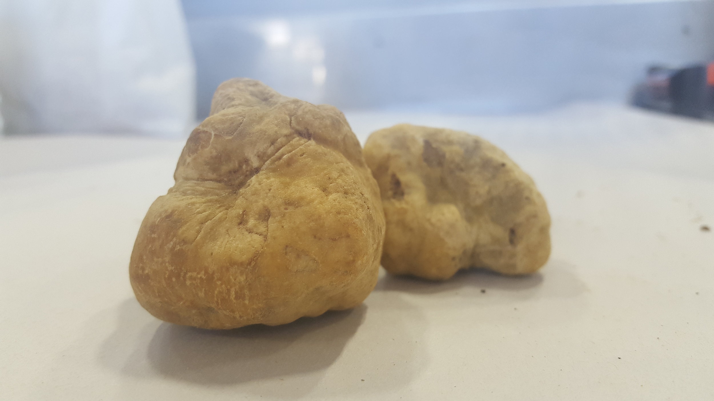 Alba Truffles