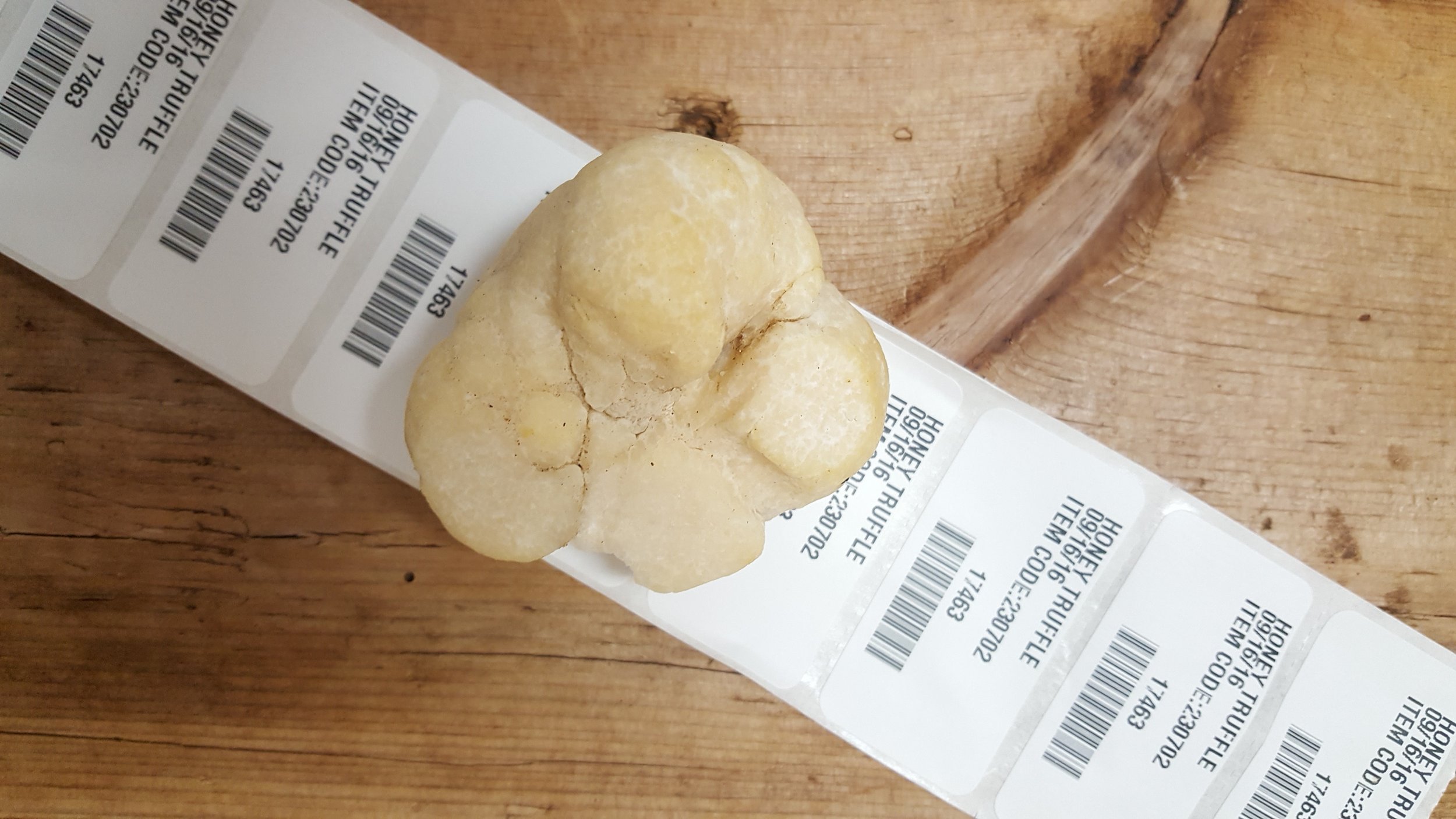 Hungarian Honey Truffles