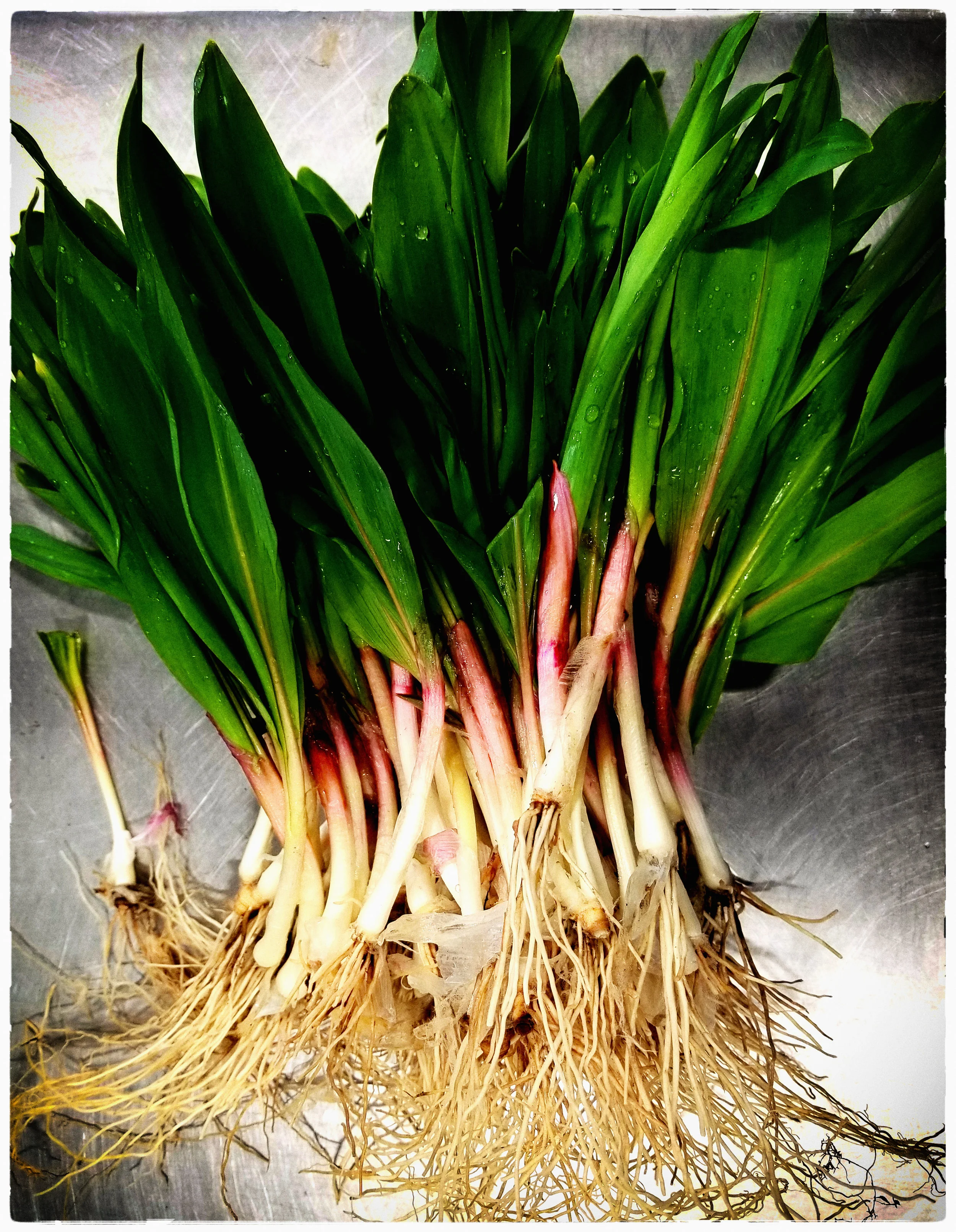 Ramps in May