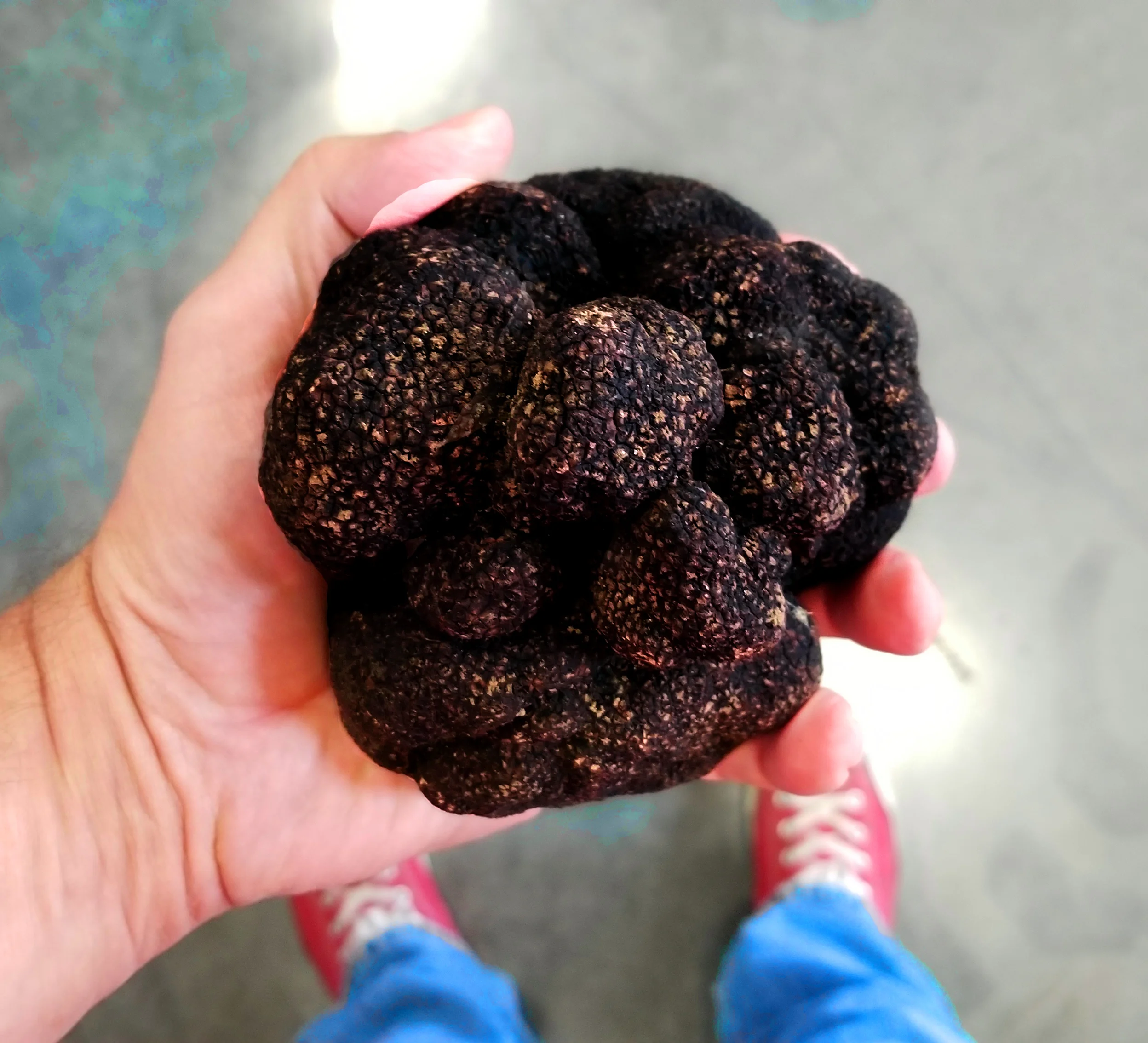 HUGE. GIANT. AUSSIE. TRUFFLES.