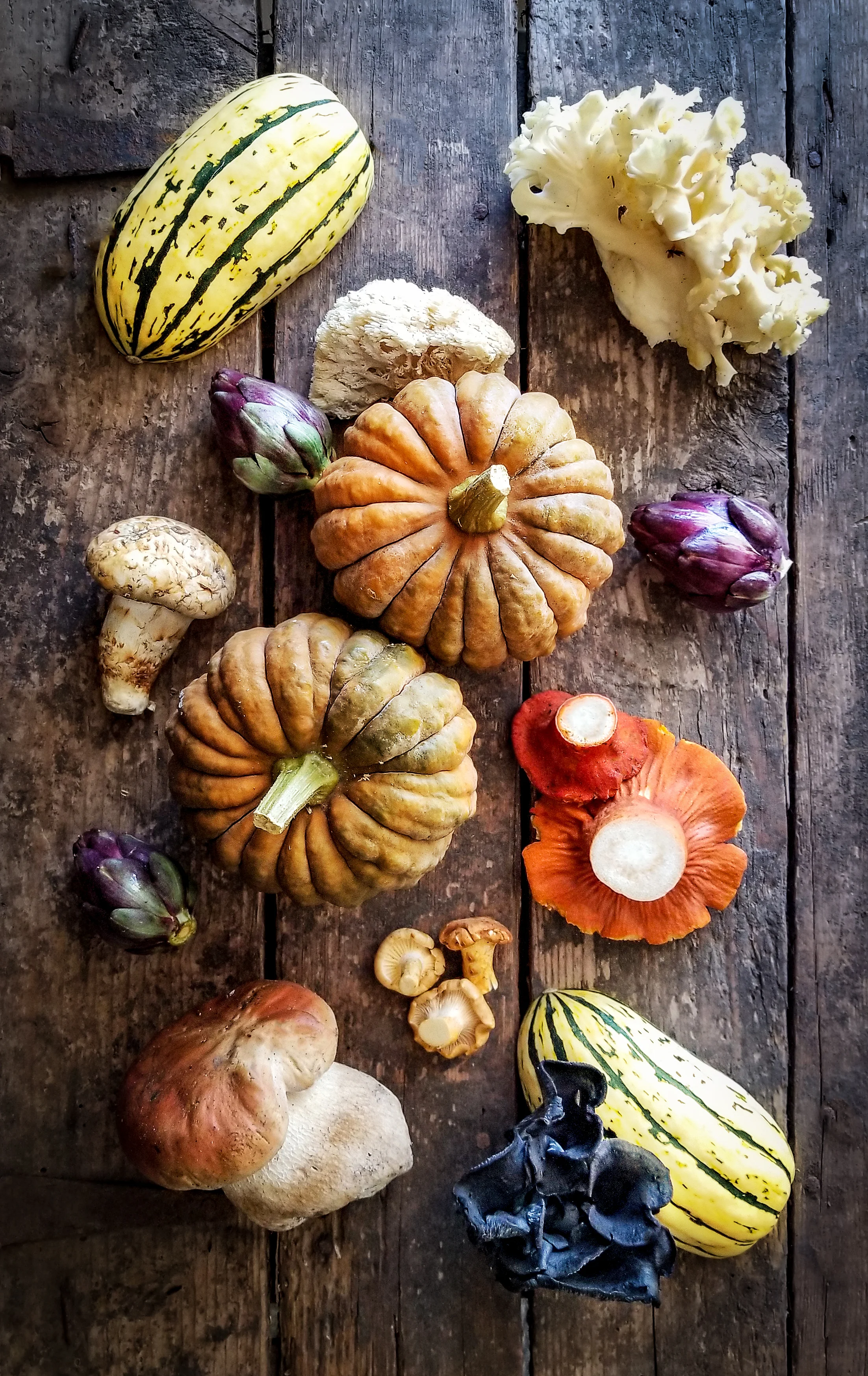 Fall harvest at Foods In Season