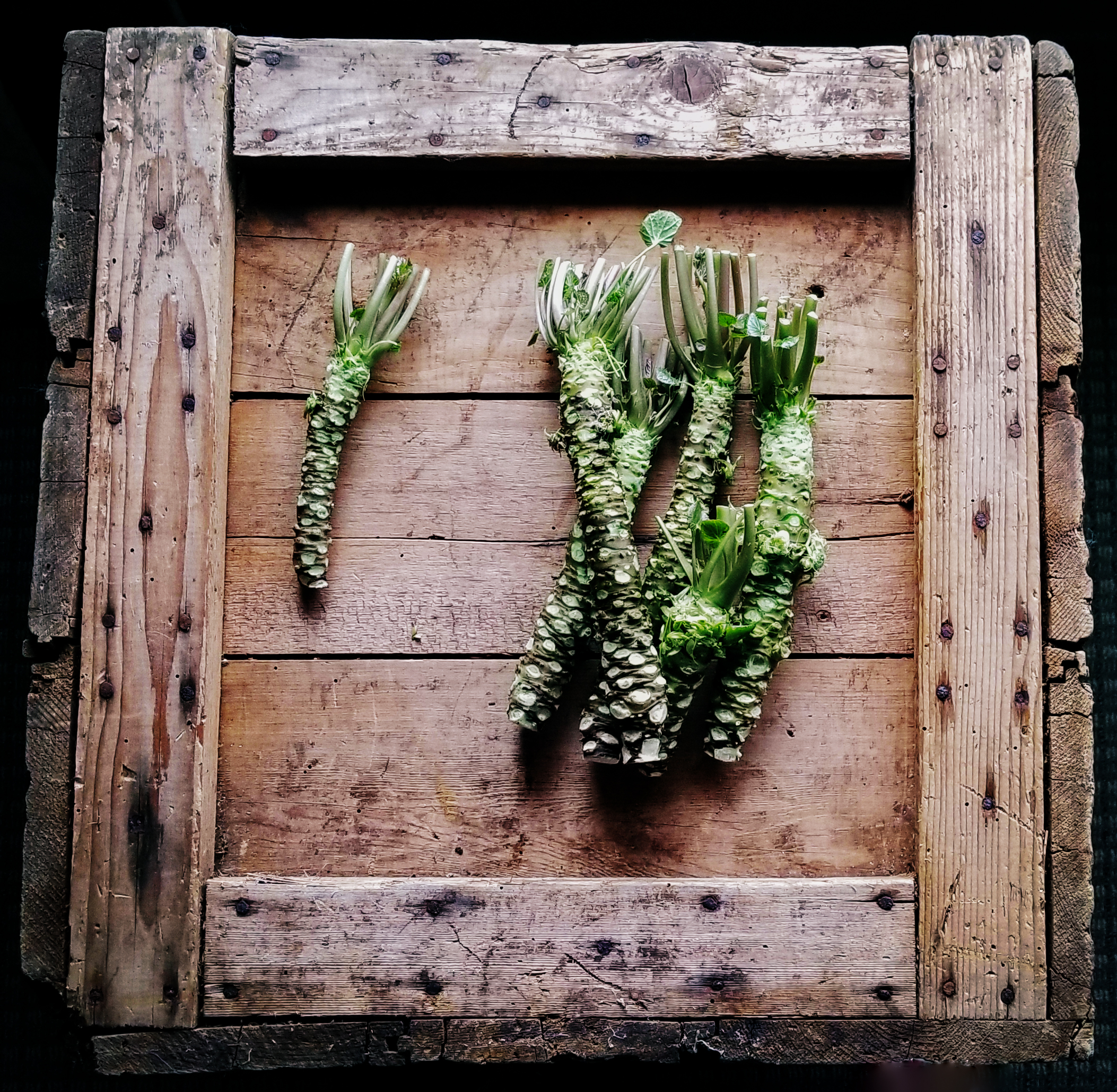 WASABI
