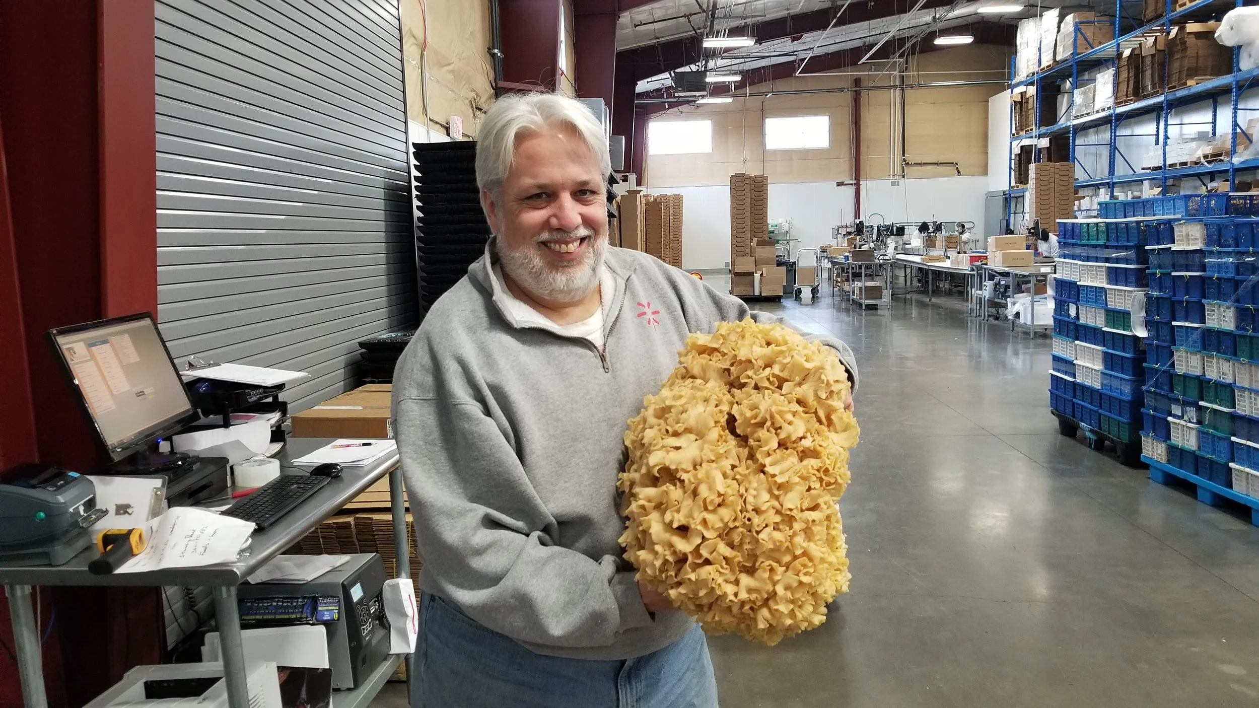 a 20 pound cauliflower mushroom