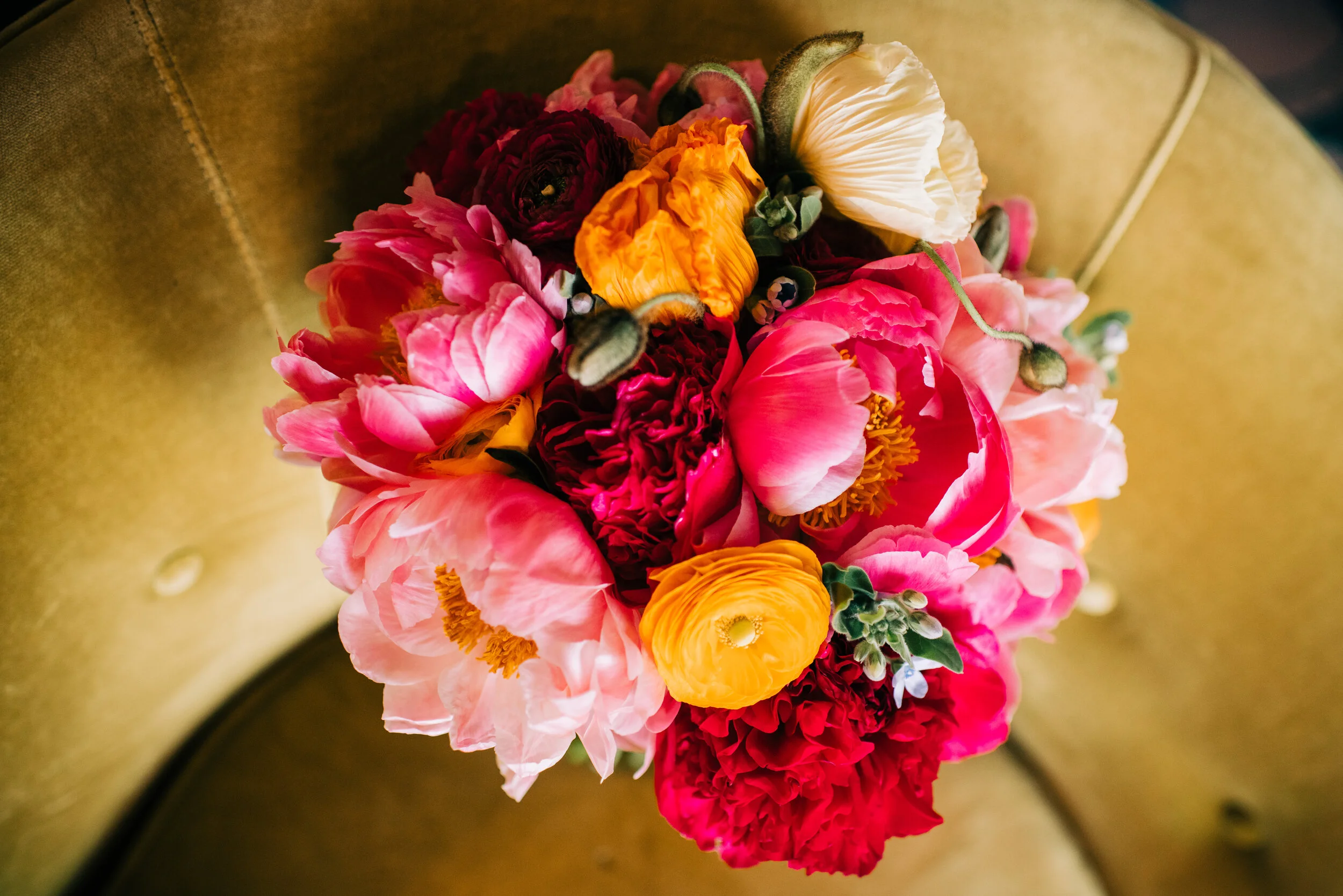 David + Jen-5.jpg