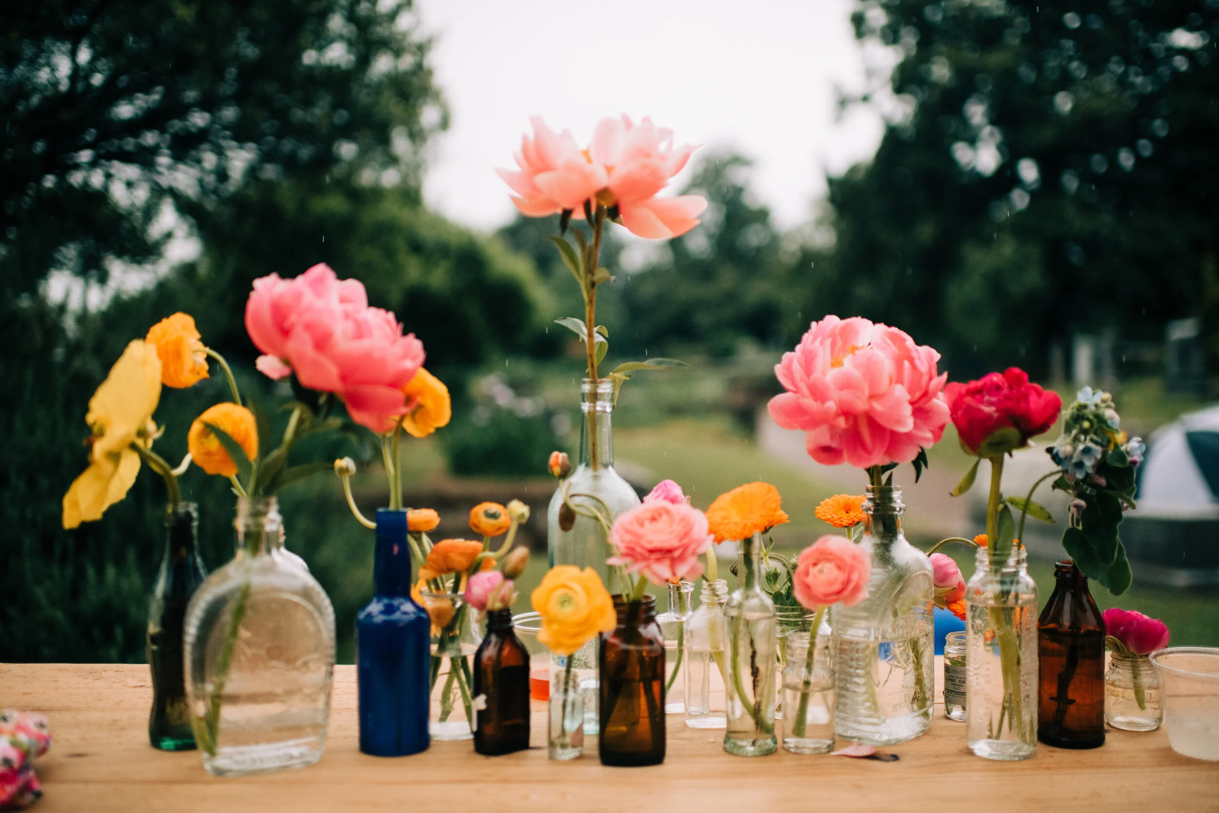 David + Jen-815.jpg