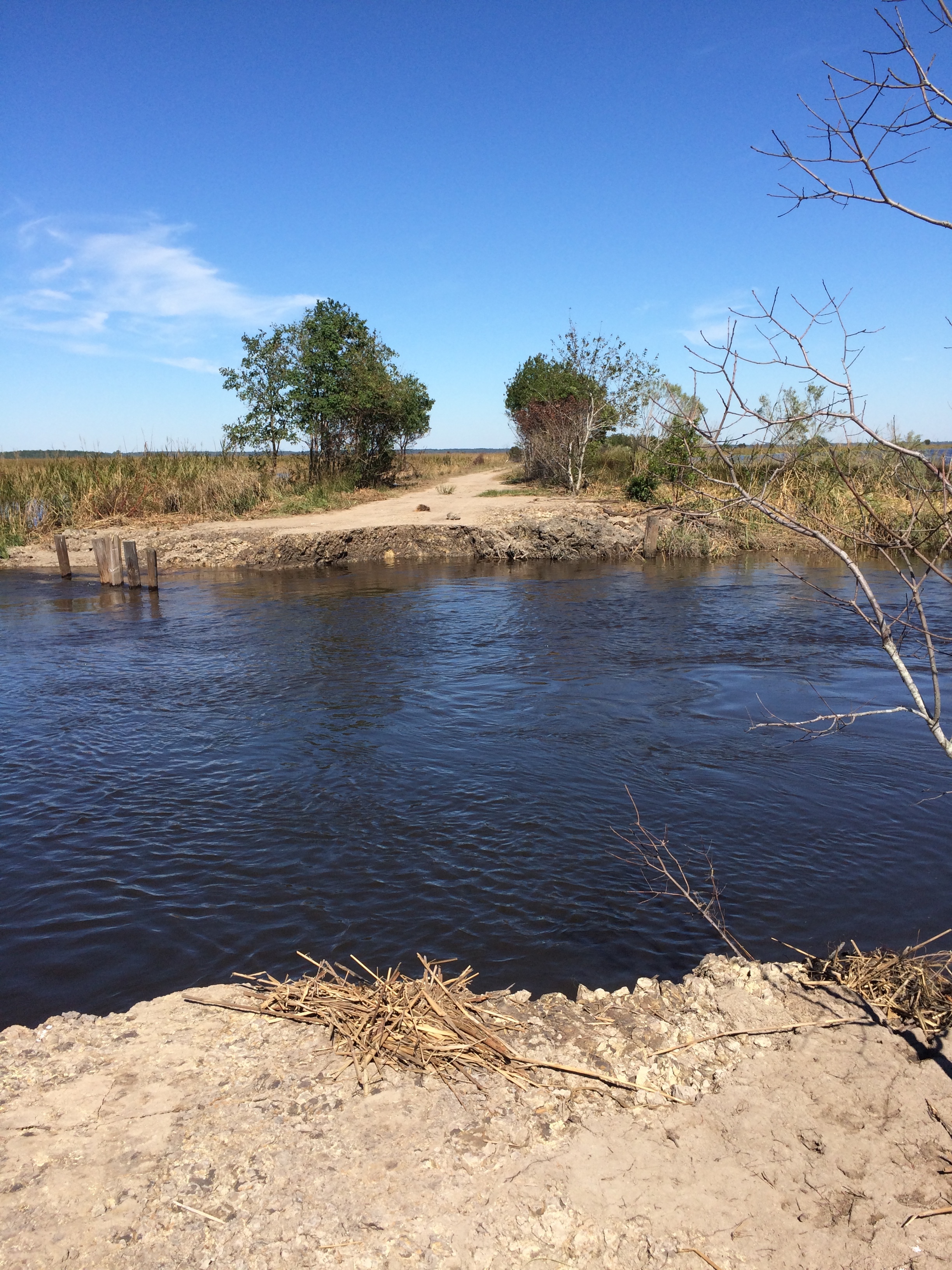 A major breach in a dike on the Springfield-Cut section of Bear Island WMA flooded thousands of acres of prime waterfowl habitat there. 