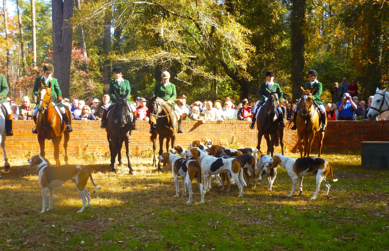 Green-jacketed staff members of the Aiken Hounds await the beginning of the "Blessing of the Hounds," a Thanksgiving Day morning tradition for the 102-year-old club.