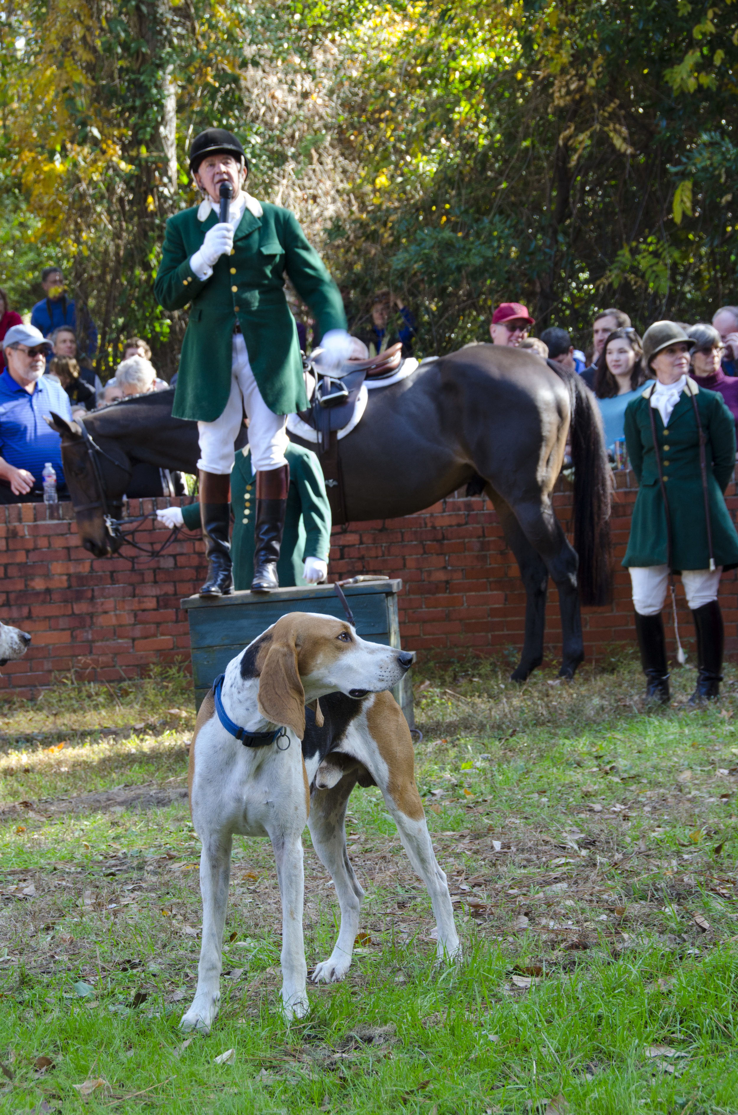 Many in the crowd were "all ears" as Larry Byers explained a bit about the history of Aiken Hounds and the origins of the Blessing of the Hounds tradition.