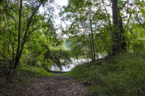 This spot along the riverbank, where the property's previous owners created a primitive boat thrown-in spot, could become a camp site at some point in the future. 