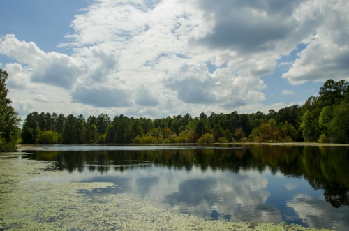 This fishing pond at Wateree HP has proven to be hugely popular with local anglers.