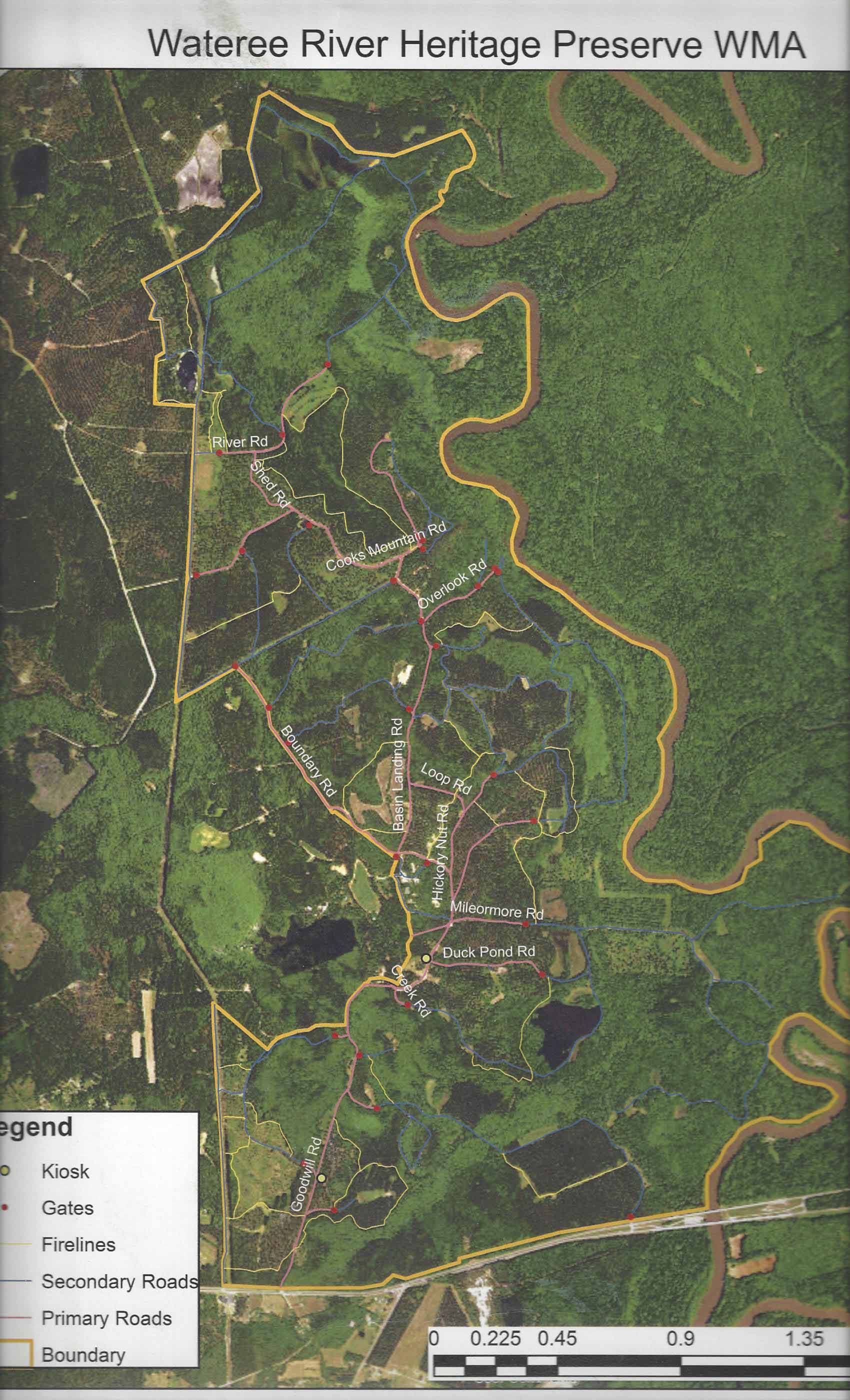 In addition to the main roads in and out of the property, a large number of side roads and firebreaks provide lots of accessible places to explore at Wateree River HP & WMA.