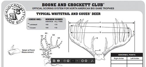 Deer Score Chart