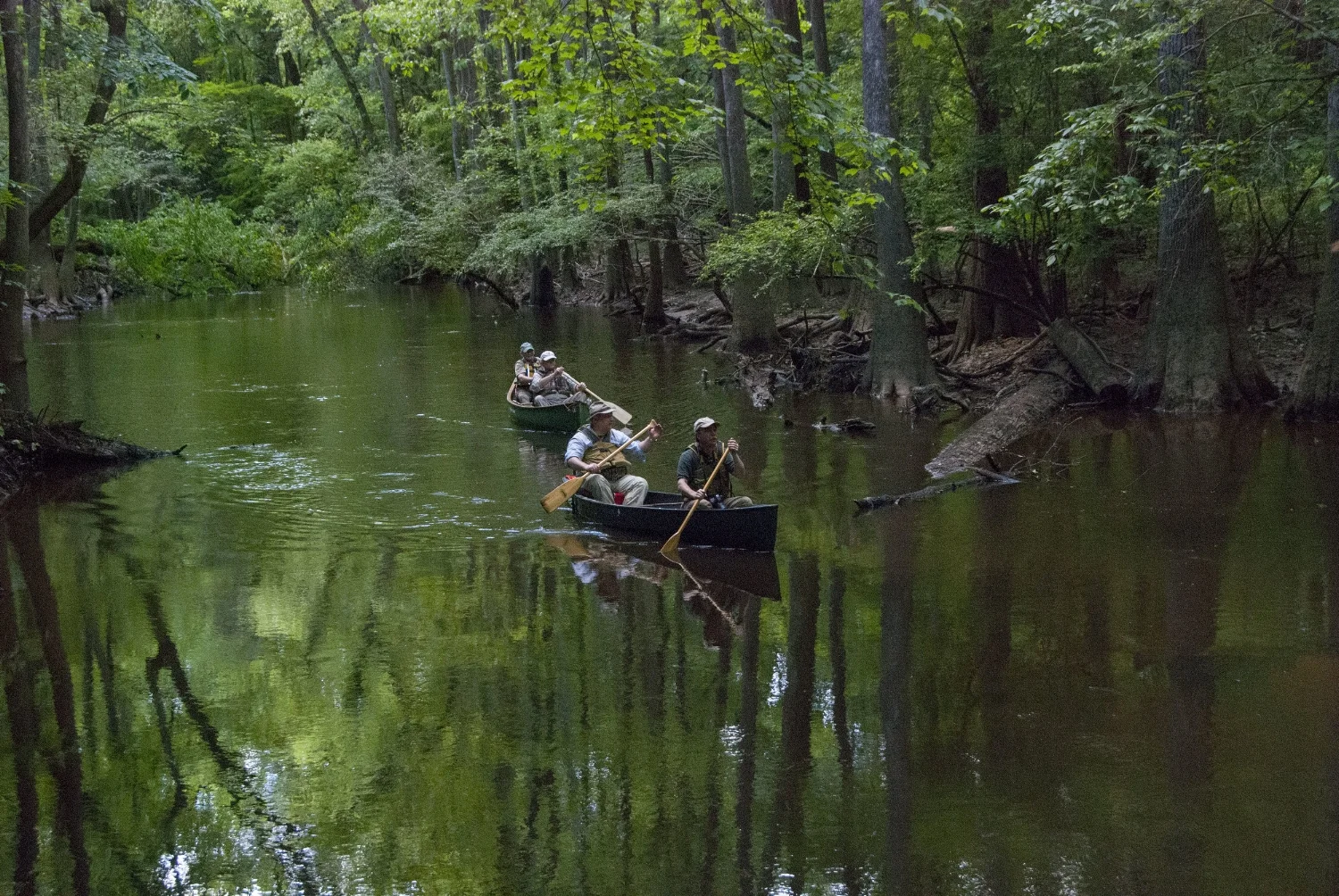 Take A Slow Boat South Carolina Natural Resources