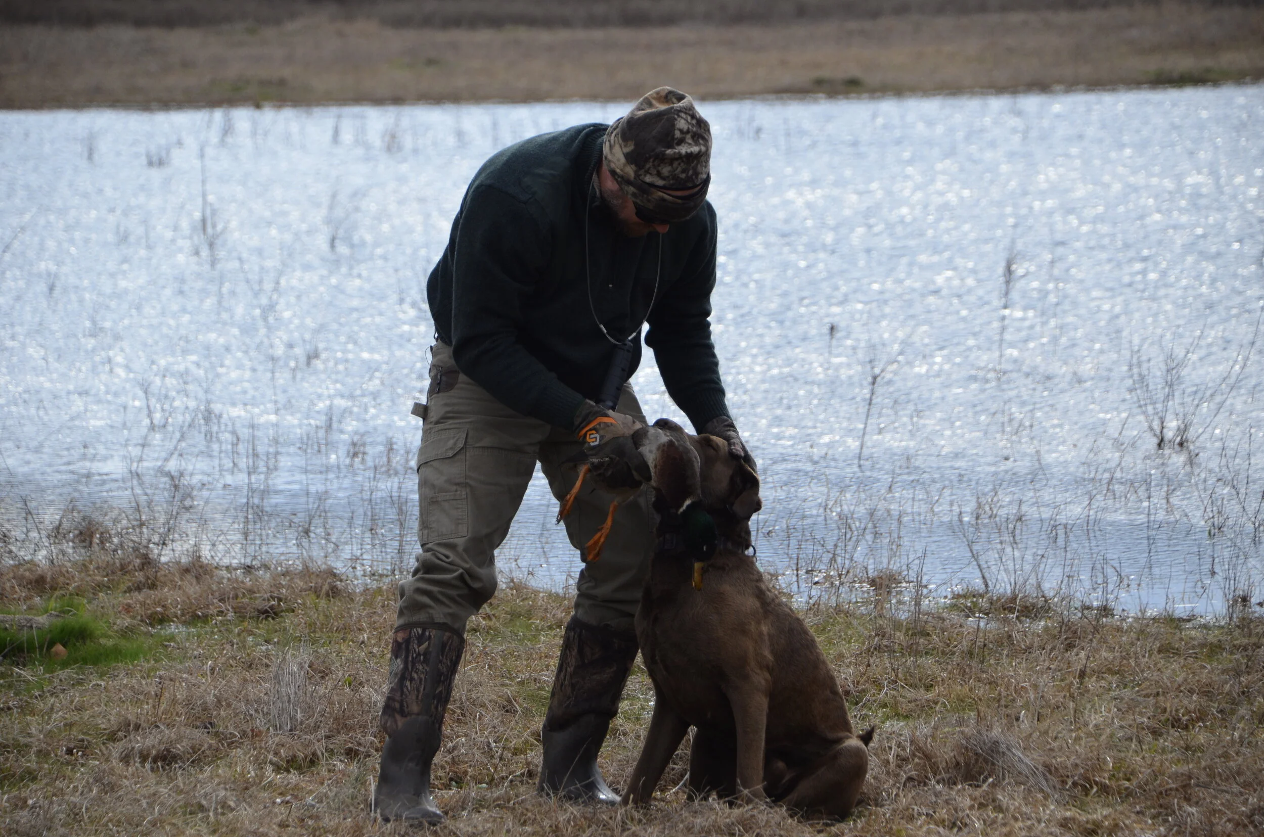 Love Farm Dog Photos_DLucas_135.JPG