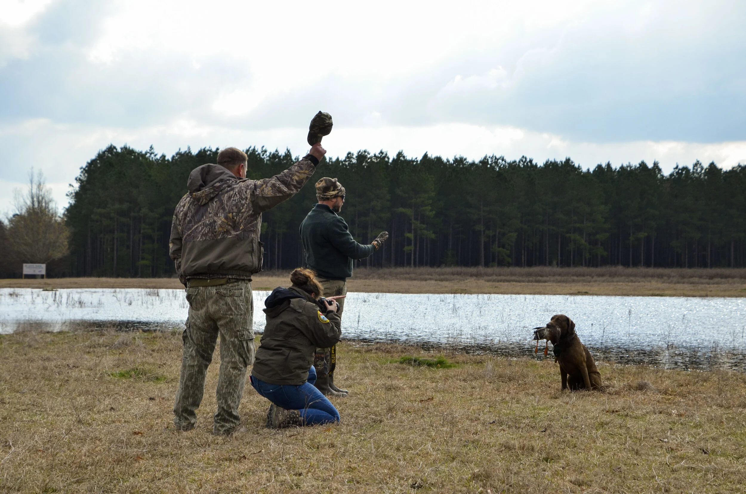 Love Farm Dog Photos_DLucas_138_1.JPG